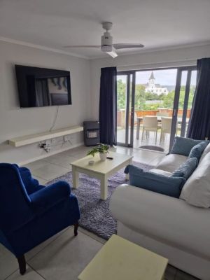 Living room with couches and television